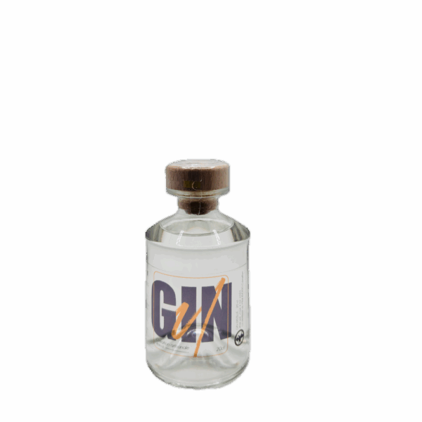 GIN